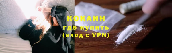 mdpv Богородицк
