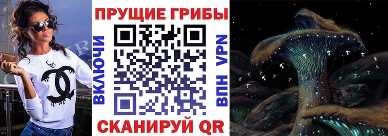 Галлюциногенные грибы ЛСД Минеральные Воды