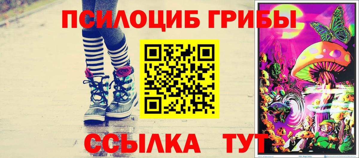 Галлюциногенные грибы MAGIC MUSHROOMS  Галлюциногенные грибы прущие грибы  Минеральные Воды  Вход с VPN 